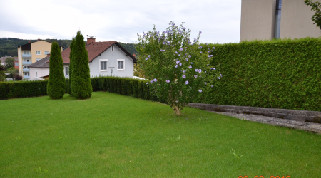 Haus-Bilder