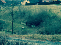 Haus-Bilder